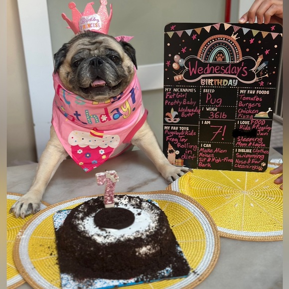 Meet your Posher, Lydia - Picture 13 of 17